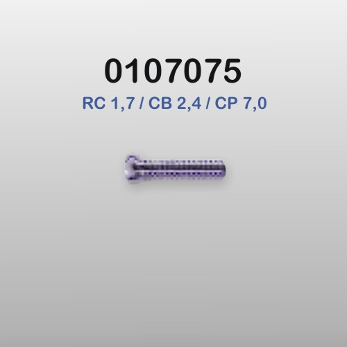 0107075-Parafuso Alpaca Korea Grande [RC1,7/CB2,4/CP4,7] Mod228 - Contém 100 Peças  - ENTREGA IMEDIATA